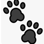 wirehaired vizsla pawprints